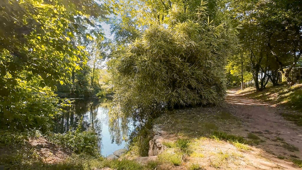 chemin-trail-vezere-dordogne