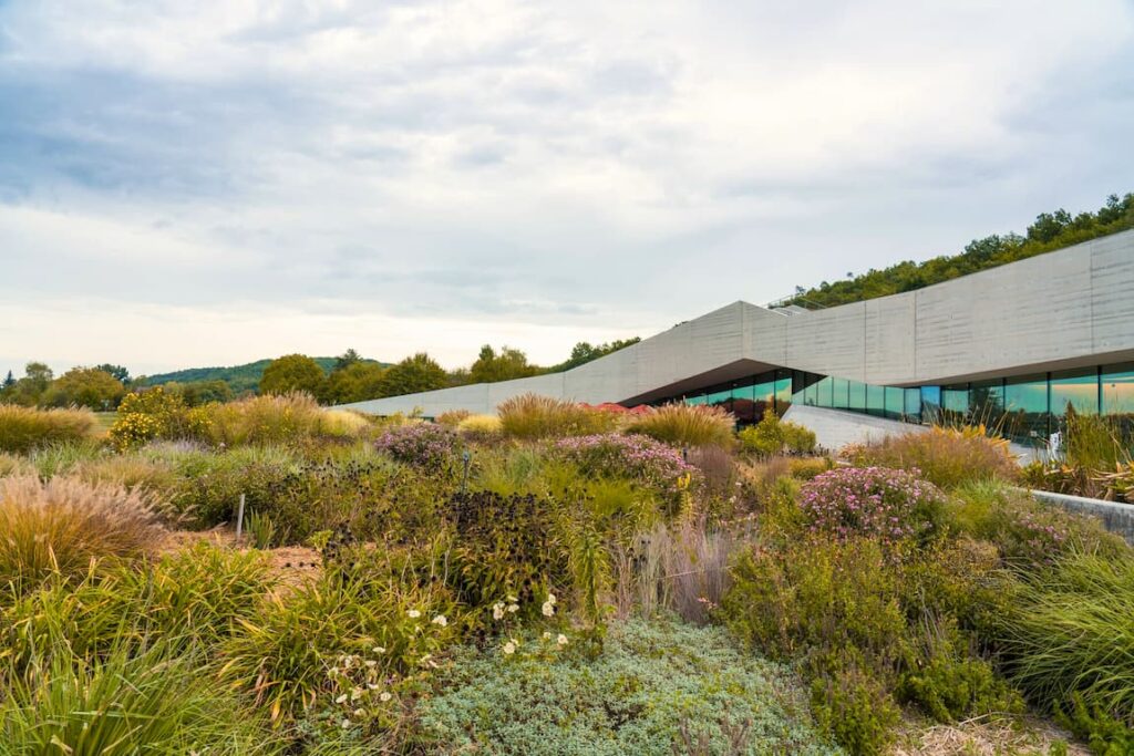 lascaux IV lascaux.webp